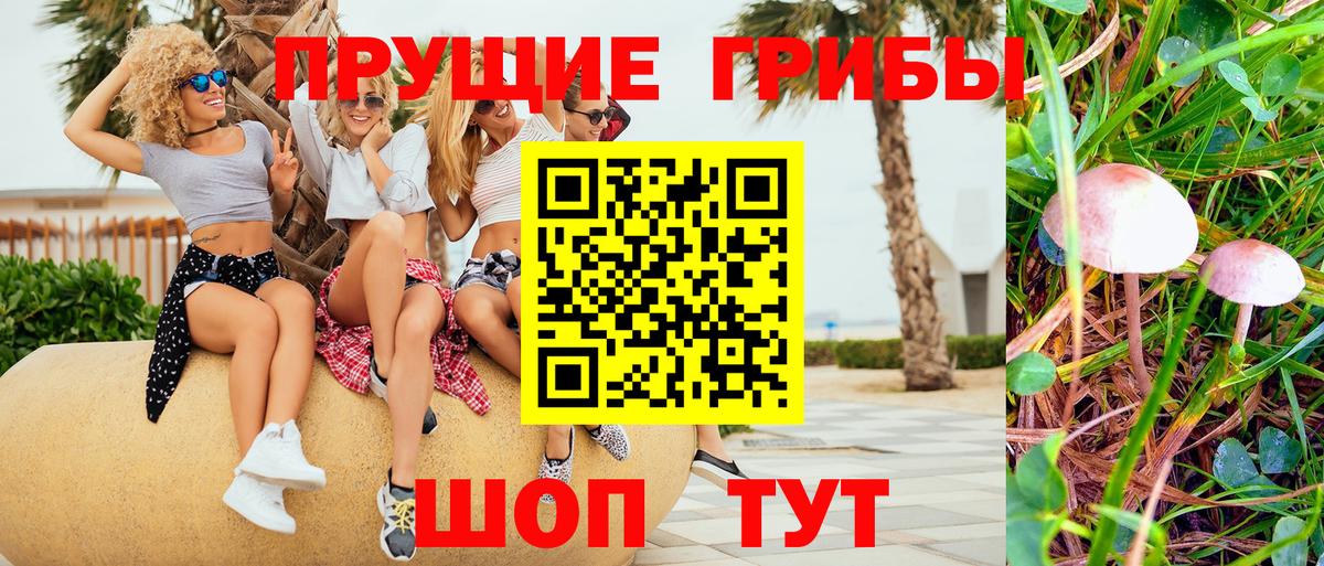 Галлюциногенные грибы ЛСД  Псилоцибиновые грибы ЛСД  Мариинск  как найти наркотики  Вход с VPN 